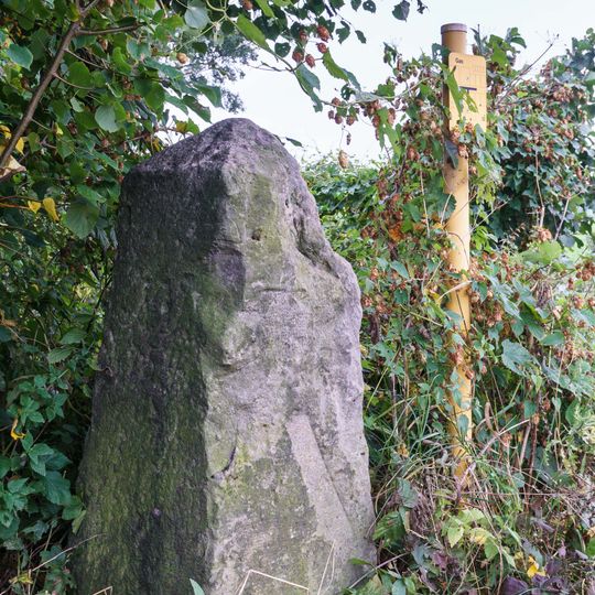 Sächsisch-Preußischer Grenzstein: Pilar Nr. 154