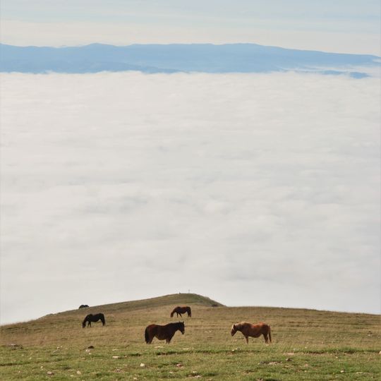 Parco del Monte Subasio