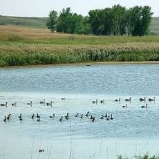 Johnson Lake National Wildlife Refuge