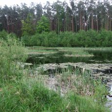 Czarny Staw (powiat policki)