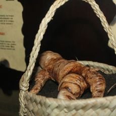 Casa del Terror y lo Fantástico Cádiz Ocultoa