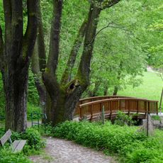 Lávka Lipová alej - Holečkovy sady