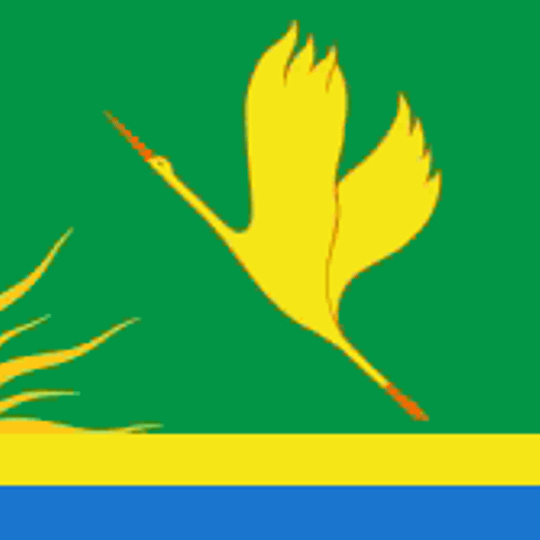 Shatura urban settlement