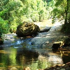 Taquara Municipal Nature Park