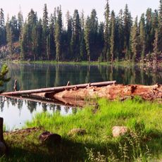 Lassen National Forest