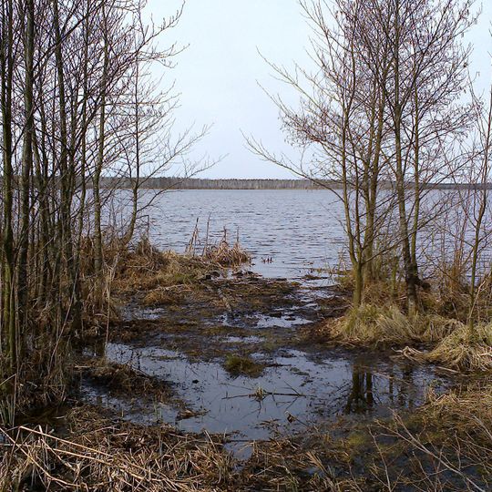 Rezerwat przyrody Jezioro Pogubie Wielkie