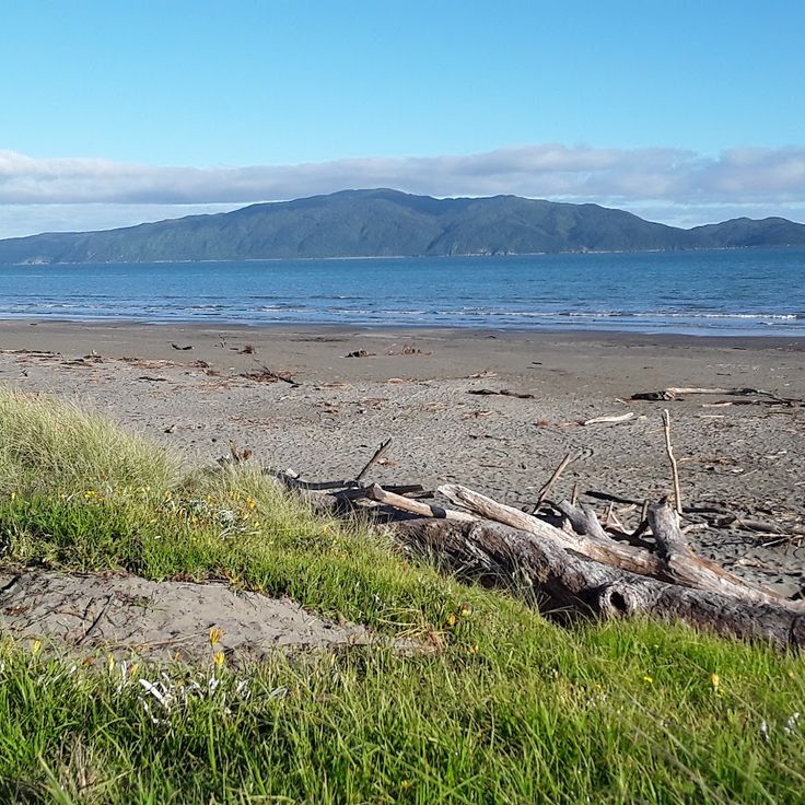 Kapiti Island