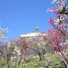 Sumaura Sanjo Amusement Park