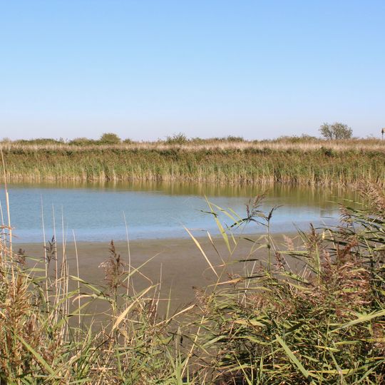 Decoy pond immediately north of Pennyhole Fleet, Old Hall Marshes