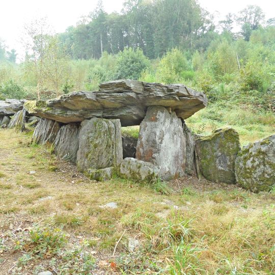 Allée couverte von Loch-ar-Ronfl Gouézec