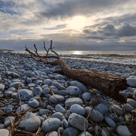 Pebble Beach