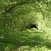 distretto di Hajnówka