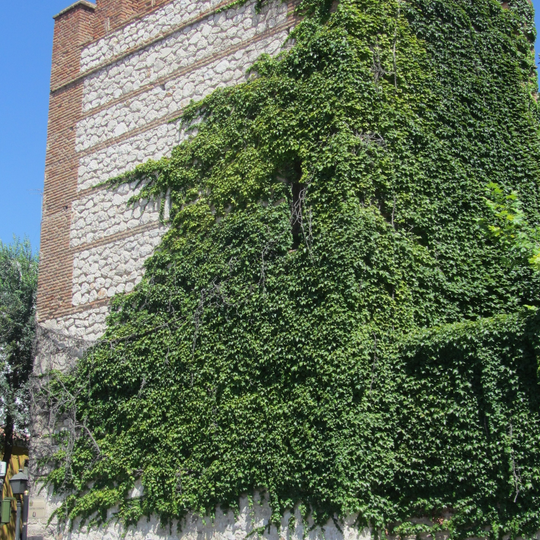 Walls of Alcalá de Henares