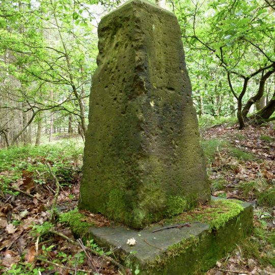 Sächsisch-Preußischer Grenzstein: Pilar Nr. 8