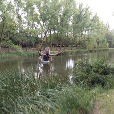 Opera d'arte, scultura