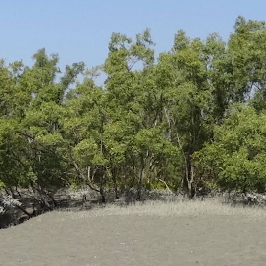 Distretto dei 24 Pargana Sud