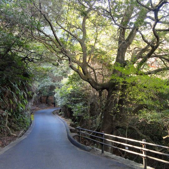 Jardín botánico natural de Miyajima