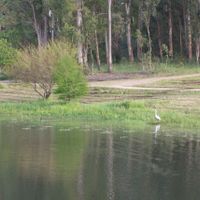 Tacuarembó Department