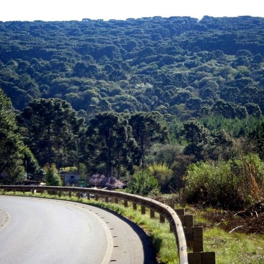 Caçador National Forest