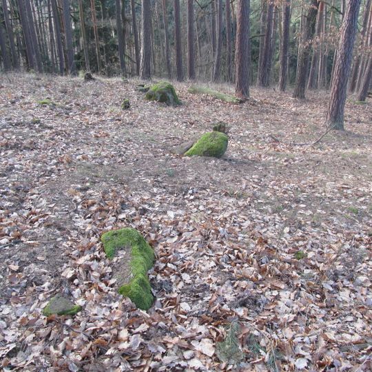 Naučná stezka Nečemické kamenné řady