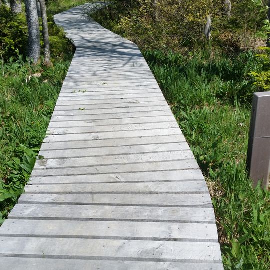 Réserve naturelle régionale des tourbières du bief du Nanchez