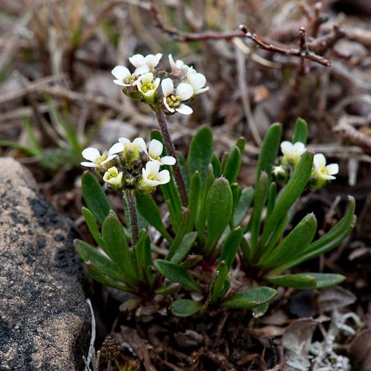Réserve écologique Sandy Cove