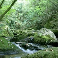 Parc naturel de Fragas do Eume