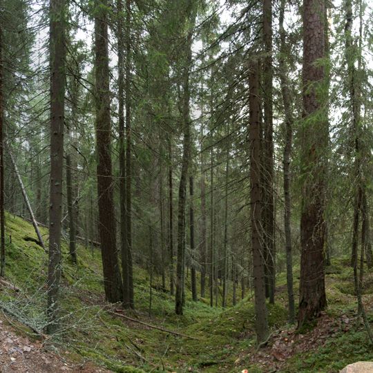 Parco nazionale di Seitseminen