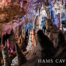 Coves dels Hams