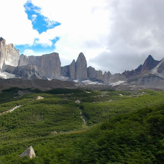 Magellanic subpolar forests
