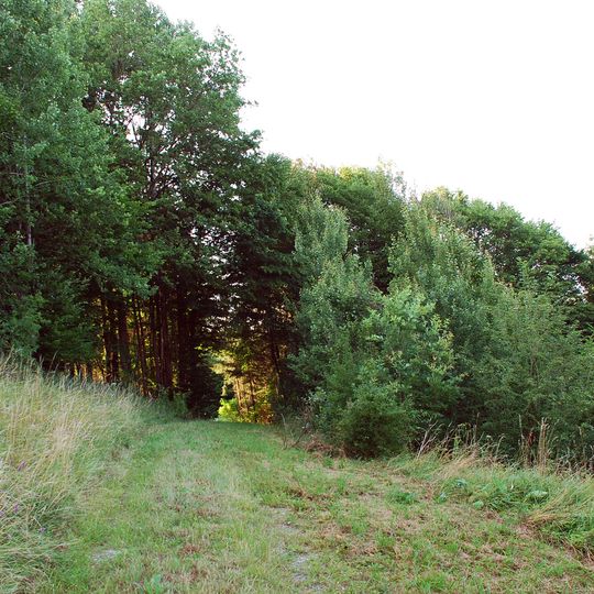 Grabhügel beim Luckenjörgl