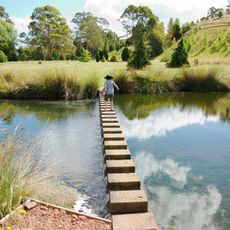 The Tasmanian Arboretum