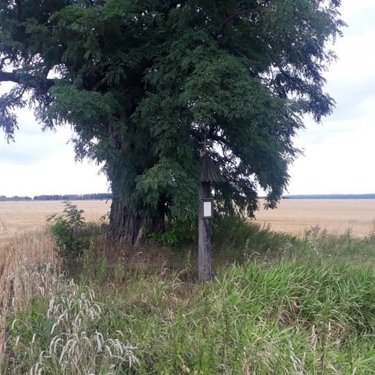 Boží muka severně od Březnice