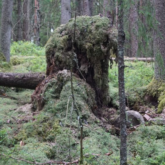 Färdsleskogens naturreservat