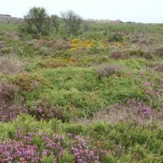 Dunwich Heath