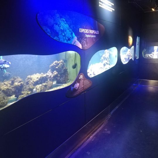 CIMAR-Centro de Interpretacion del Mar-Aquarium