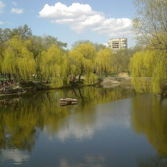 Дубовий гай. Старі дуби