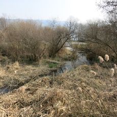 Schützenmatt/Schutzengel, Jungsteinzeitliche Seeufersiedlungen, Chamerstrasse