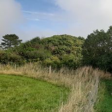 Maglehøj (Odsherred)