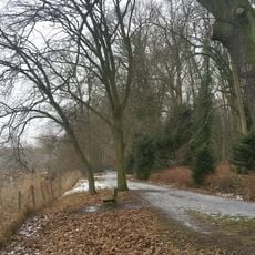 Havelufer (nördlich Gatow)