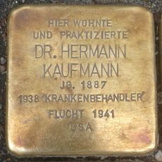 Dr. Hermann Kaufmann