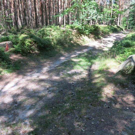 Milníky u Knížecí cesty z Labské Stráně do Bynovce