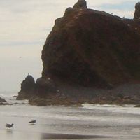 Cannon Beach