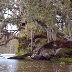 Bayou Corne sinkhole
