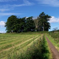 Cnoc an Rath, enclosure