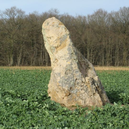 Menhir de Montacher-Villegardin