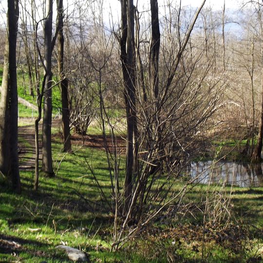 Palude di Romano Canavese