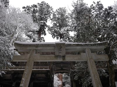 Winter 1