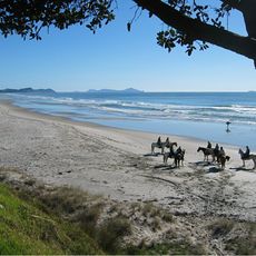 Te Ārai Regional Park