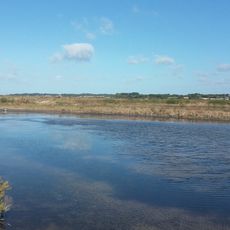 Mès marsh